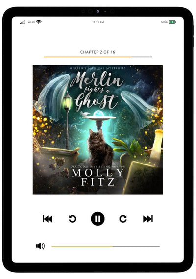 Merlin Fights a Ghost Audiobook - Molly Fitz Books