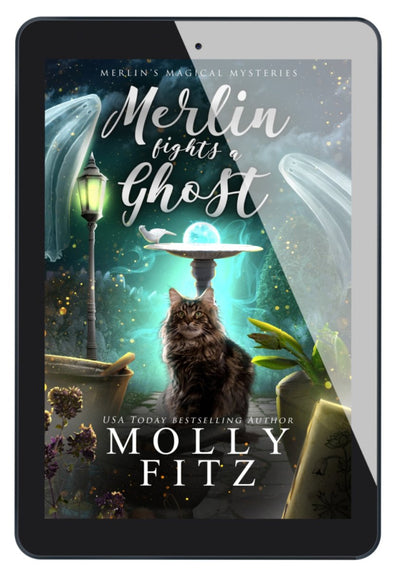 Merlin Fights a Ghost eBook - Molly Fitz Books