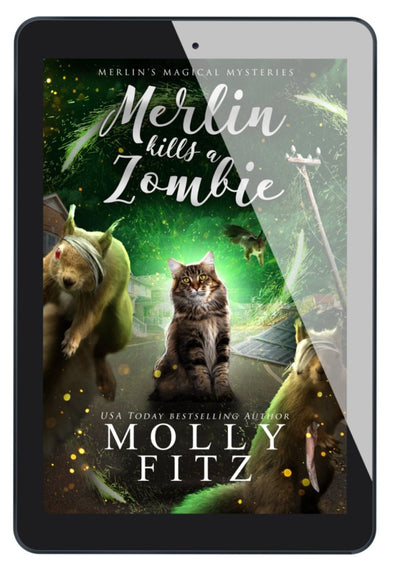Merlin Kills a Zombie eBook - Molly Fitz Books