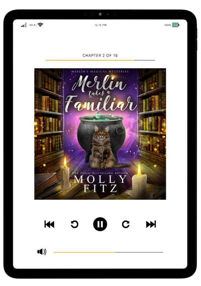 Merlin Takes a Familiar Audiobook - Molly Fitz Books