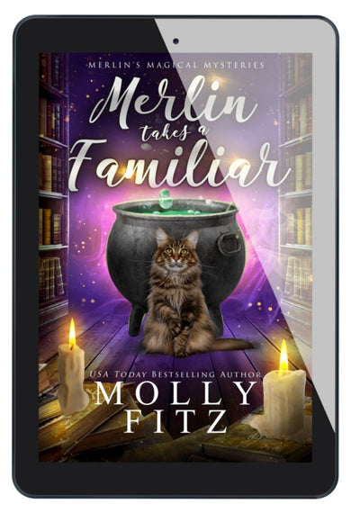 Merlin Takes a Familiar eBook - Molly Fitz Books